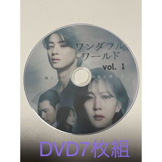 ワンダフルワールド　全14話　DVD  7枚　チャウヌ　韓国ドラマ　韓国