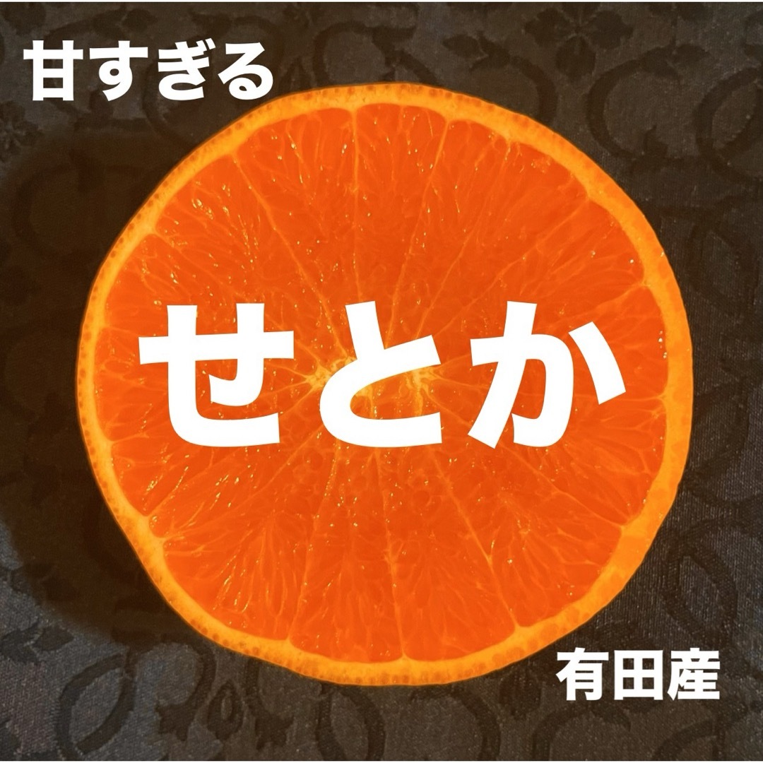 数量限定　甘すぎる　小玉　せとか　有田産　みかん　果物　旬 食品/飲料/酒の食品(フルーツ)の商品写真