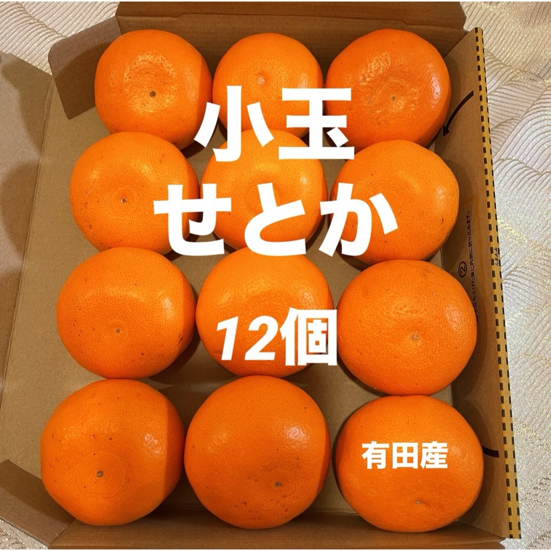 数量限定　甘すぎる　小玉　せとか　有田産　みかん　果物　旬 食品/飲料/酒の食品(フルーツ)の商品写真