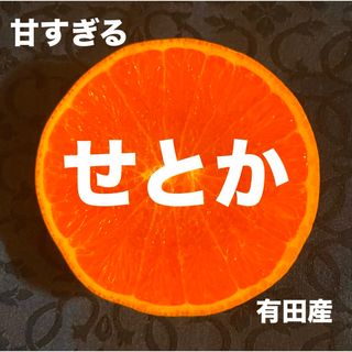 数量限定　甘すぎる　小玉　せとか　有田産　みかん　果物　旬(フルーツ)