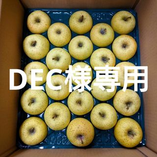 【DEC様専用】(フルーツ)