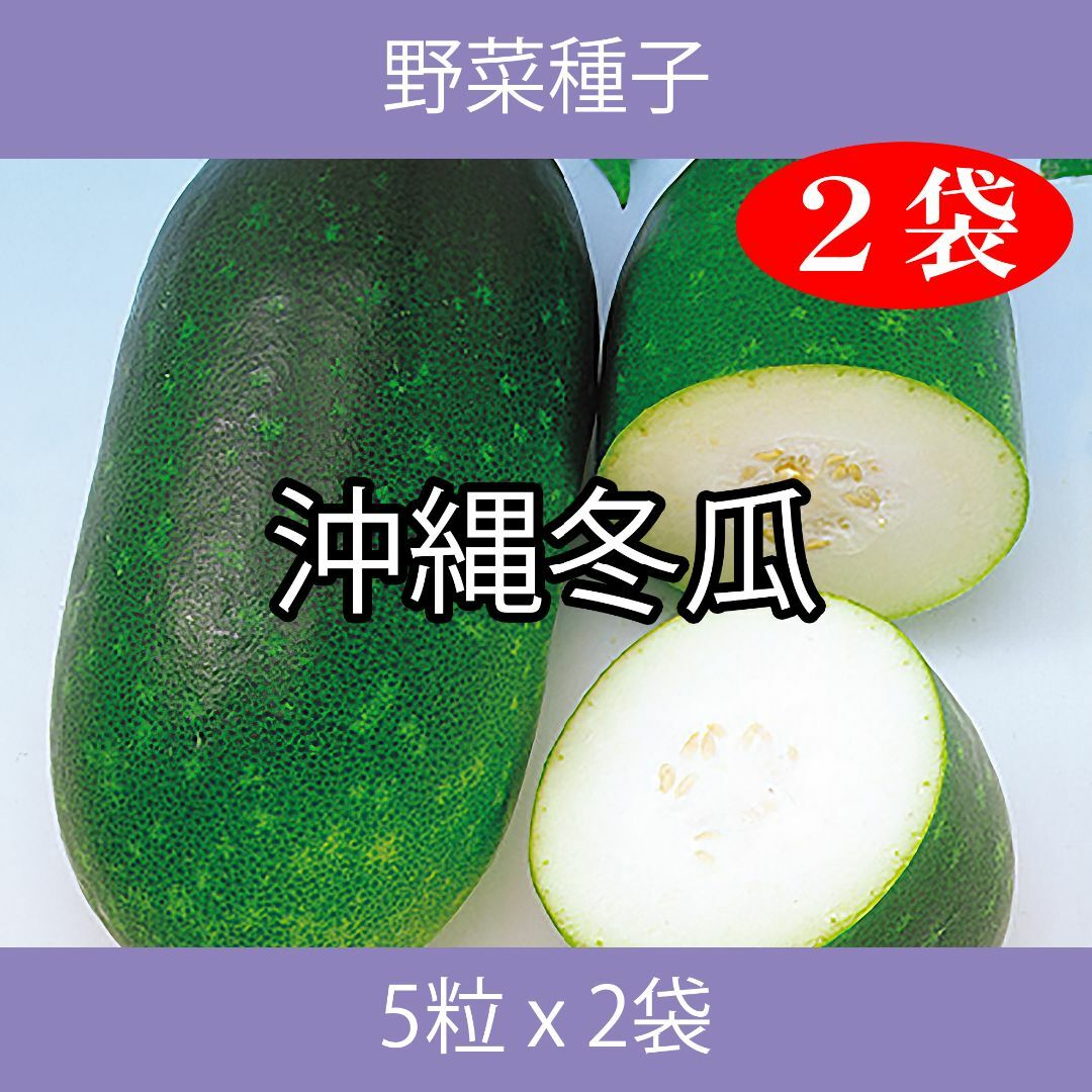 野菜種子 EAE 沖縄冬瓜 5粒 x 2袋 食品/飲料/酒の食品(野菜)の商品写真