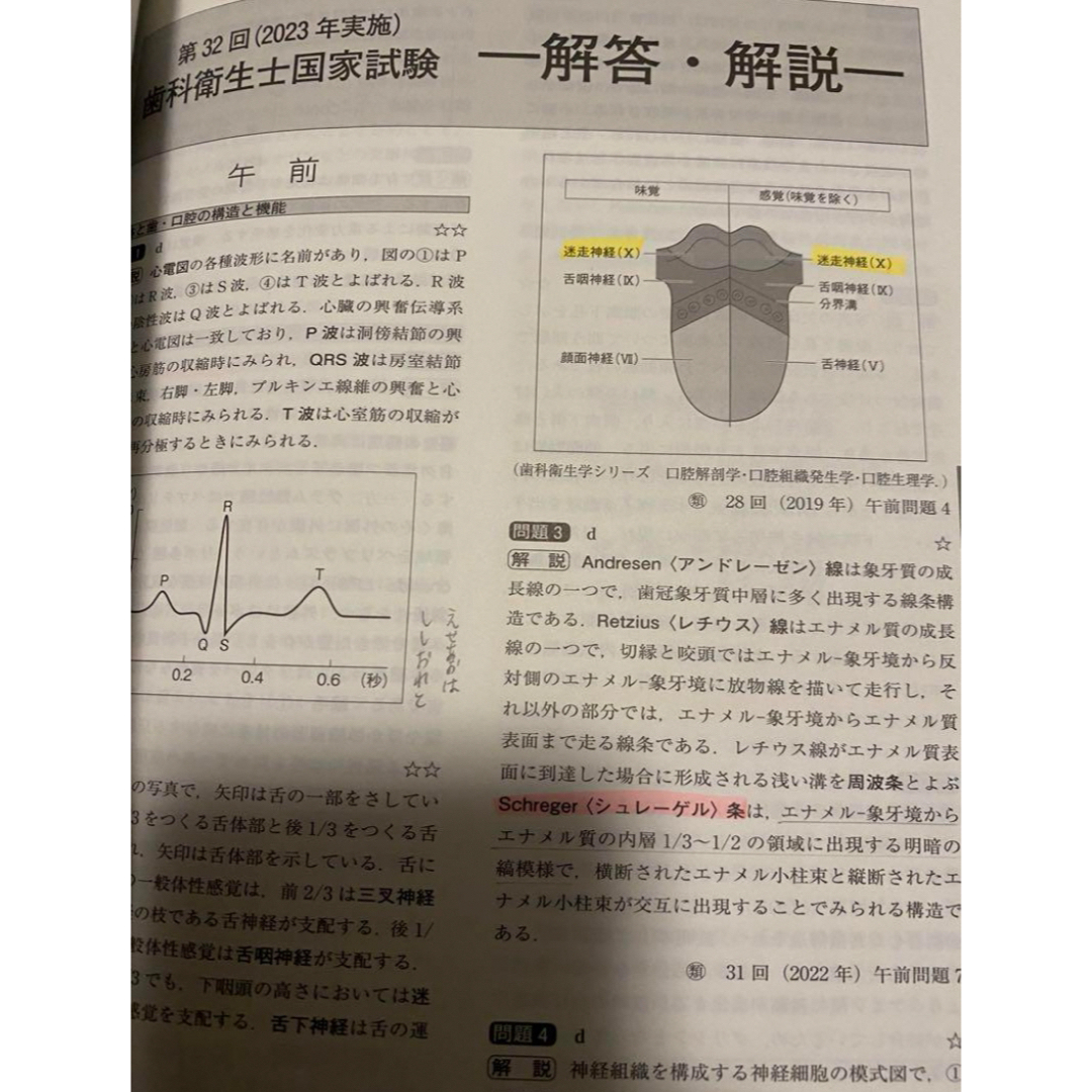 歯科衛生士 国家試験問題集 2024年版 りんご エンタメ/ホビーの本(語学/参考書)の商品写真