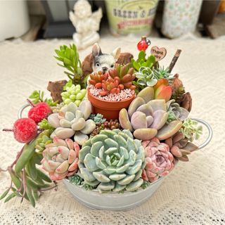 人気シリーズ♡つかまるフレンチブルドッグ♪多肉植物寄せ植え　プチギフト　(その他)