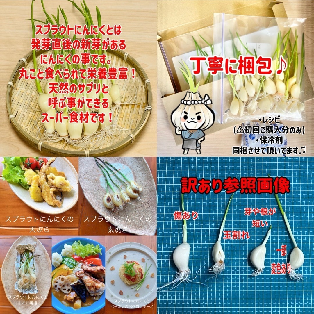 スプラウトにんにく　驚きの栄養価　発芽にんにく　40本　にんにく親方 食品/飲料/酒の食品(野菜)の商品写真