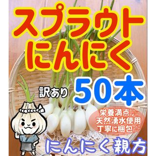 スプラウトにんにく　驚きの栄養価　発芽にんにく　訳あり50本 にんにく親方 (野菜)