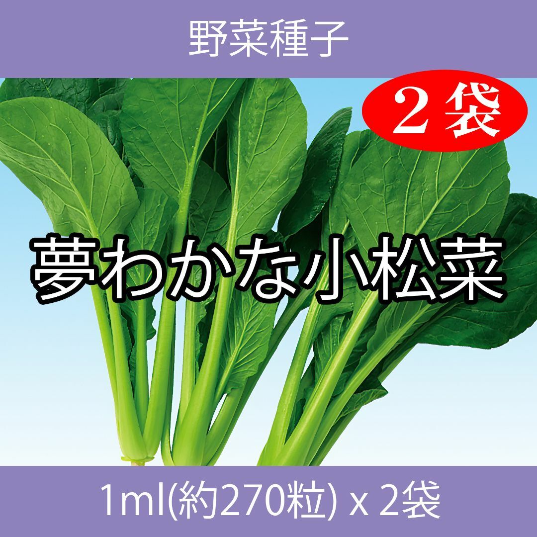 野菜種子 EAD 夢わかな小松菜 1ml(約270粒) x 2袋 食品/飲料/酒の食品(野菜)の商品写真