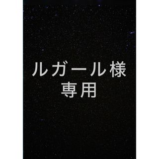 ルガール様専用カッティングステッカー2枚(車外アクセサリ)