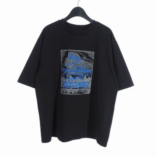 ザノースフェイス(THE NORTH FACE)のザノースフェイス THE NORTH FACE Tシャツ プリント L ブラック(その他)