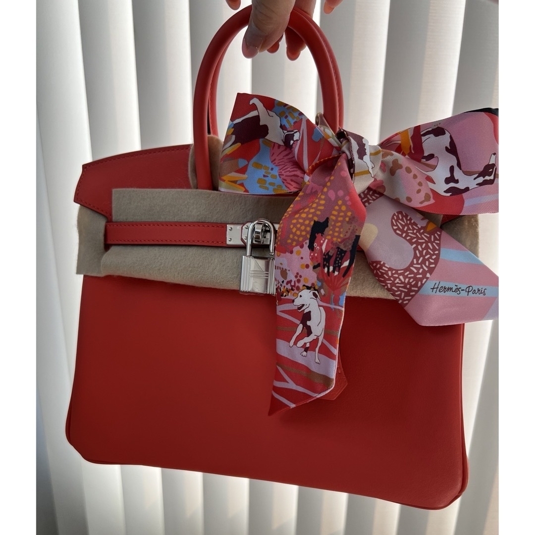 HERMES - 新品未使用エルメスバーキン25♡2024newカラー HERMES - 新品未使用エルメスバーキン25♡2024newカラー
