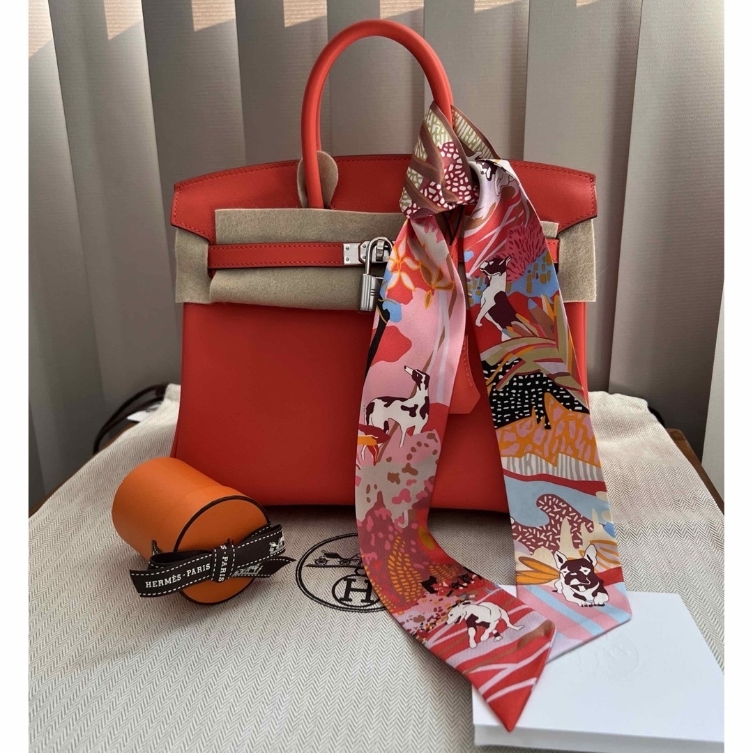 HERMES - 新品未使用エルメスバーキン25♡2024newカラー HERMES - 新品未使用エルメスバーキン25♡2024newカラー