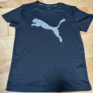 プーマ(PUMA)のPUMA 150cm Ｔシャツ(Tシャツ/カットソー)