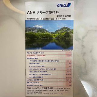 ANA 株主優待 グループ優待券 冊子(18枚入り)