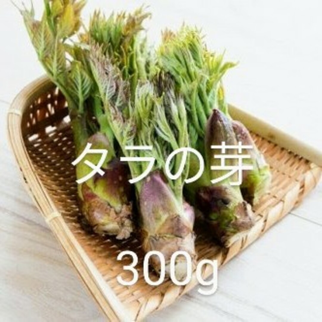 岩手県産　天然　たらの芽　300g 食品/飲料/酒の食品(野菜)の商品写真