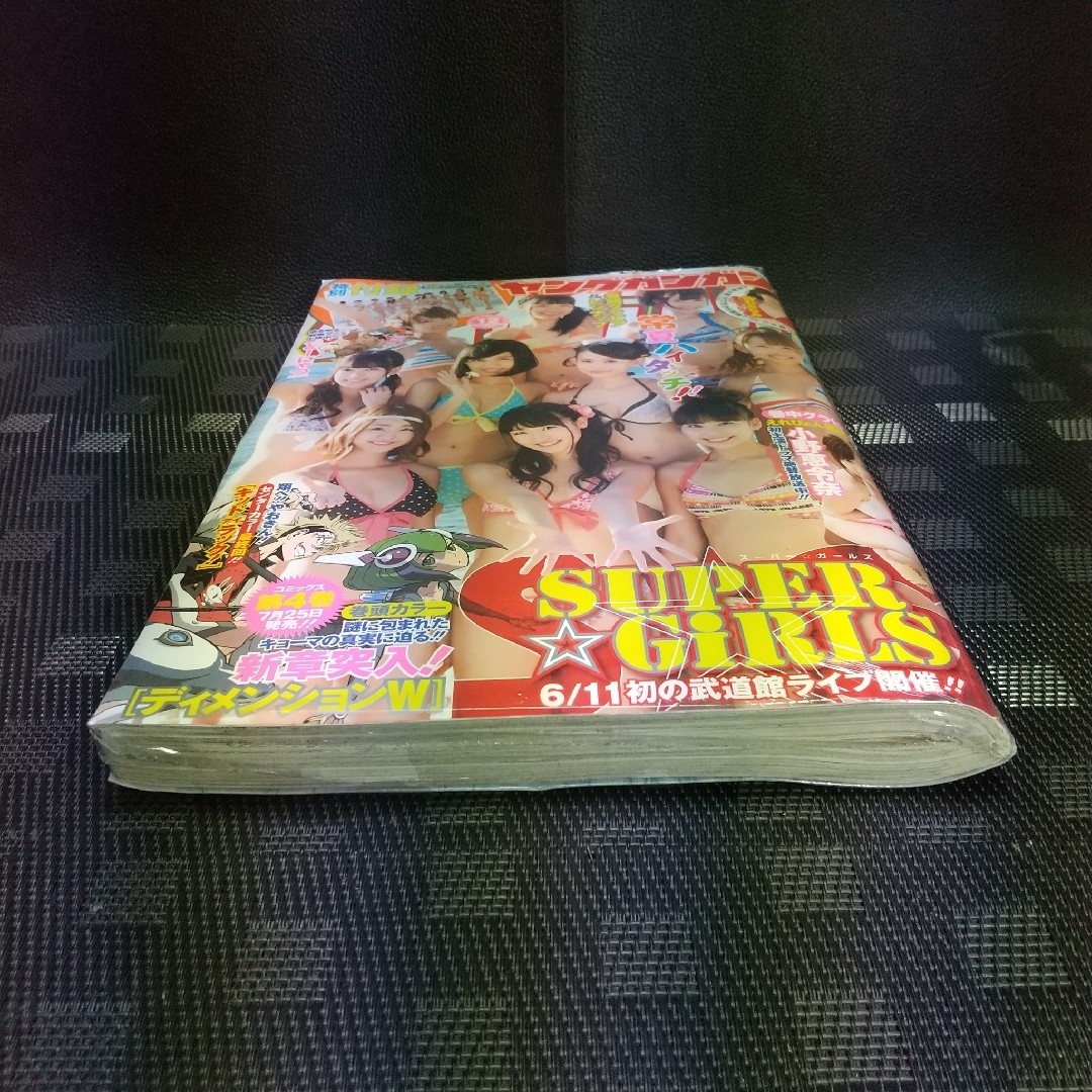 ヤングガンガン 2013年12号※SUPER☆GiRLS グラビア ピンナップ付 エンタメ/ホビーの漫画(少年漫画)の商品写真