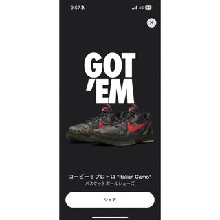 ナイキ(NIKE)のコービー　6 プロトロ　italian camo(スニーカー)