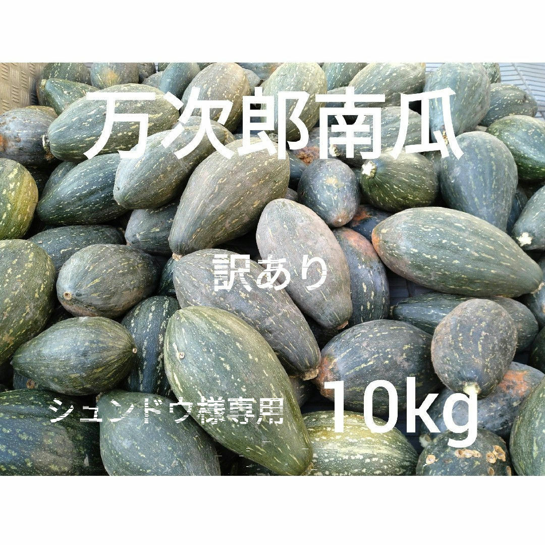 万次郎かぼちゃ　訳あり　５kg　３〜４玉　10 食品/飲料/酒の食品(野菜)の商品写真