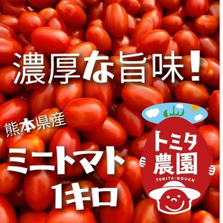 熊本県産ミニトマト「茜とまと1キロ」(野菜)