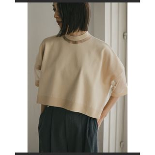 クラネ(CLANE)のStyle mixer スタミキ　コンビネーションシアーニットトップ(Tシャツ(半袖/袖なし))