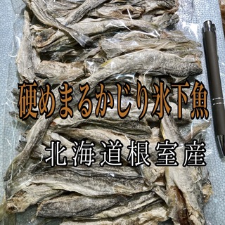 珍味 硬めまるかじり氷下魚（こまい）北海道根室産　別名：寒海（かんかい）(乾物)