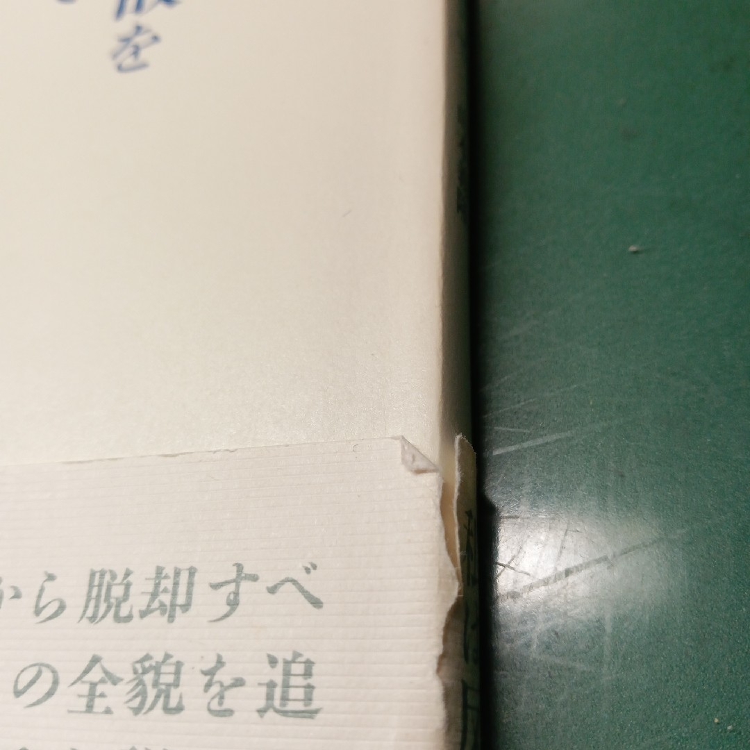 情報東京大学教養学部テキスト　東大1461DAYS　福島の原発事故をめぐって エンタメ/ホビーの本(科学/技術)の商品写真