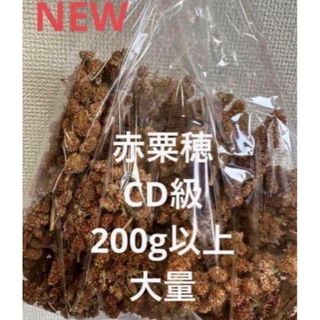 小鳥のおやつ　　赤粟穂　CD級　200g以上　お箱詰め　即購入可◎(鳥)