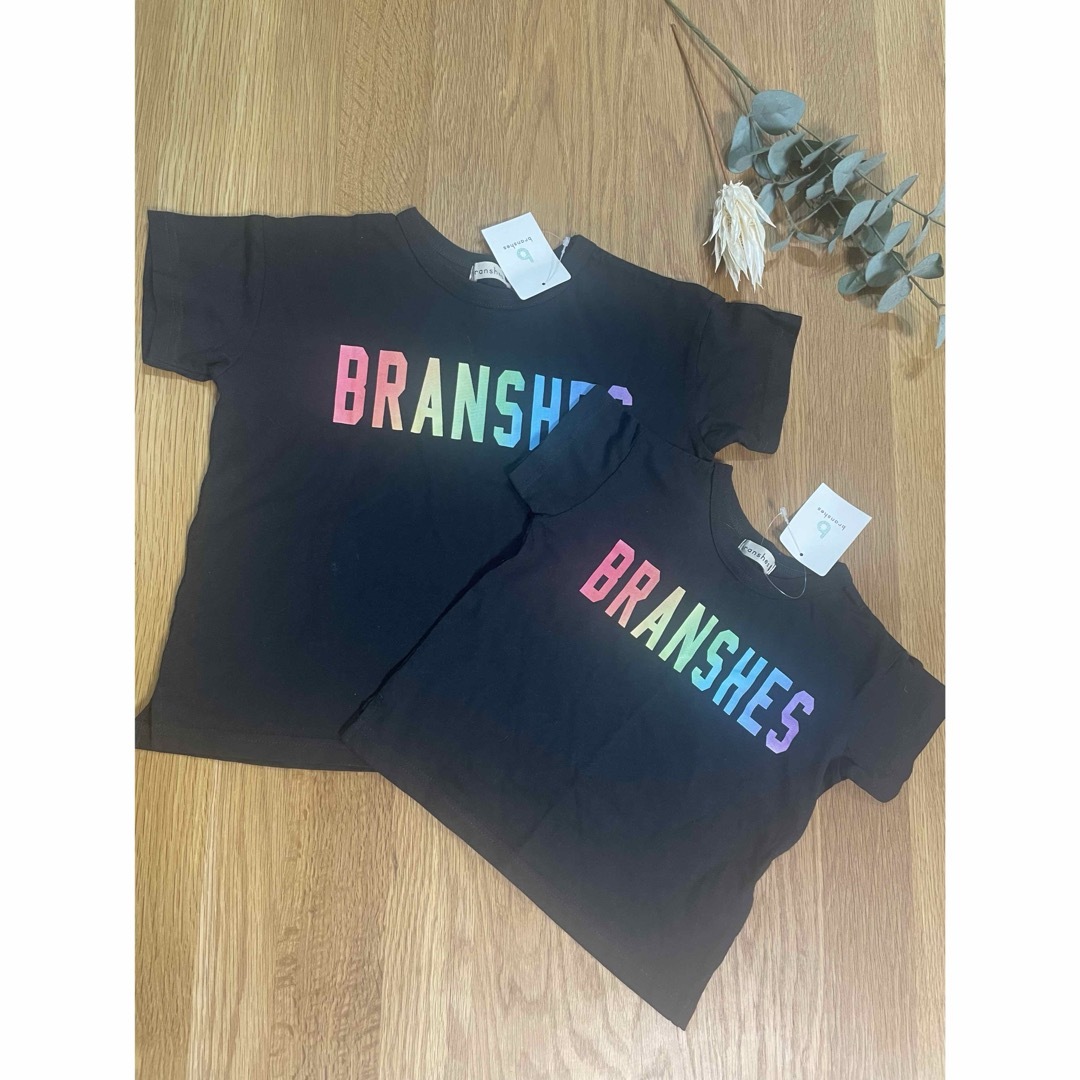Branshes(ブランシェス)のブランシェス　Tシャツ　90センチ120センチ　2枚セット キッズ/ベビー/マタニティのキッズ服男の子用(90cm~)(Tシャツ/カットソー)の商品写真