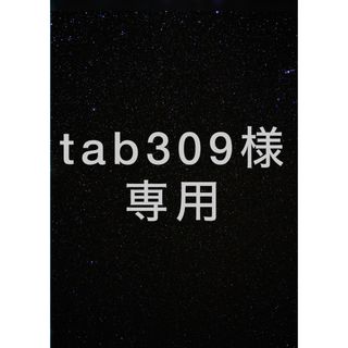 tab309様専用カッティングステッカー(車外アクセサリ)