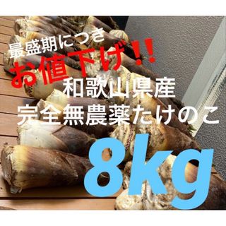 最盛期につき値下‼️完全無農薬★朝堀たけのこ★和歌山県産★米ぬか付★8キロ(野菜)