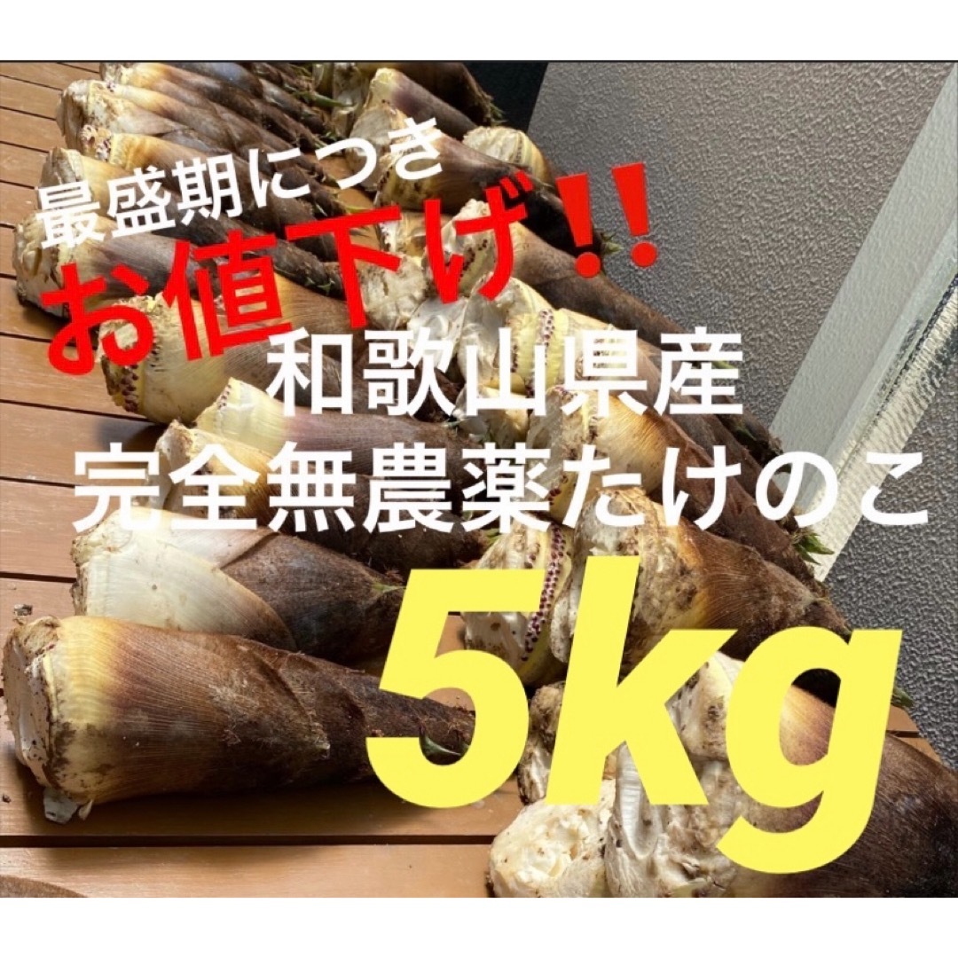 最盛期につき値下‼️完全無農薬★朝堀たけのこ★和歌山県産★米ぬか付★5キロ 食品/飲料/酒の食品(野菜)の商品写真