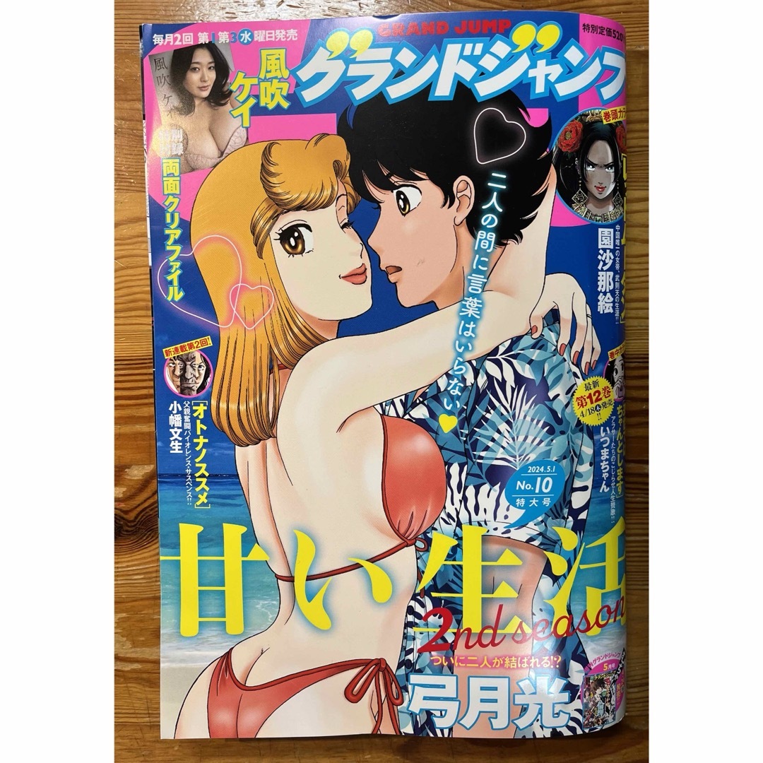 集英社(シュウエイシャ)のグランドジャンプ 2024年 5/1号 [雑誌]付録クリアファイル付き エンタメ/ホビーの雑誌(アート/エンタメ/ホビー)の商品写真