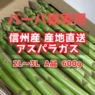 【バーバ様専用】19日発送 信州産　アスパラガス　2L〜3L  600g(野菜)