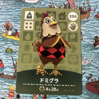 ニンテンドウ(任天堂)のどうぶつの森 amiiboカード ドミグラ(カード)
