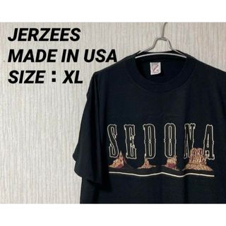 ジャージーズ(JERZEES)のJERZEES(ジャージーズ) プリントTシャツ USA製(Tシャツ/カットソー(半袖/袖なし))