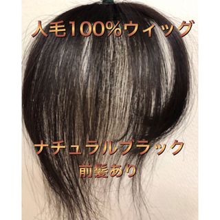 人毛100%ショートウィッグ　人毛100%ヘアピース　人毛部分ウィッグ(ショートストレート)