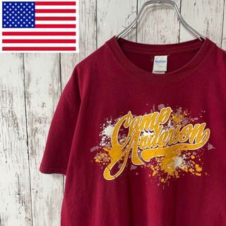 GILDAN アメリカ古着 ビッグサイズプリントTシャツ レッド メンズ(Tシャツ/カットソー(半袖/袖なし))