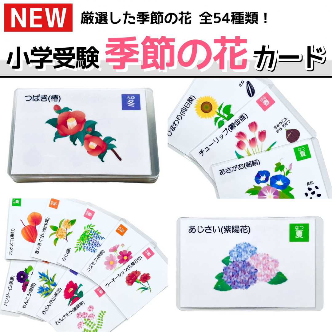 季節の花カード　小学校受験教材　理科的常識　幼児教育　知育　きせつカード キッズ/ベビー/マタニティのおもちゃ(知育玩具)の商品写真