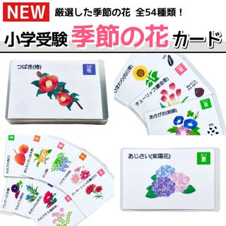 季節の花カード　小学校受験教材　理科的常識　幼児教育　知育　きせつカード(知育玩具)