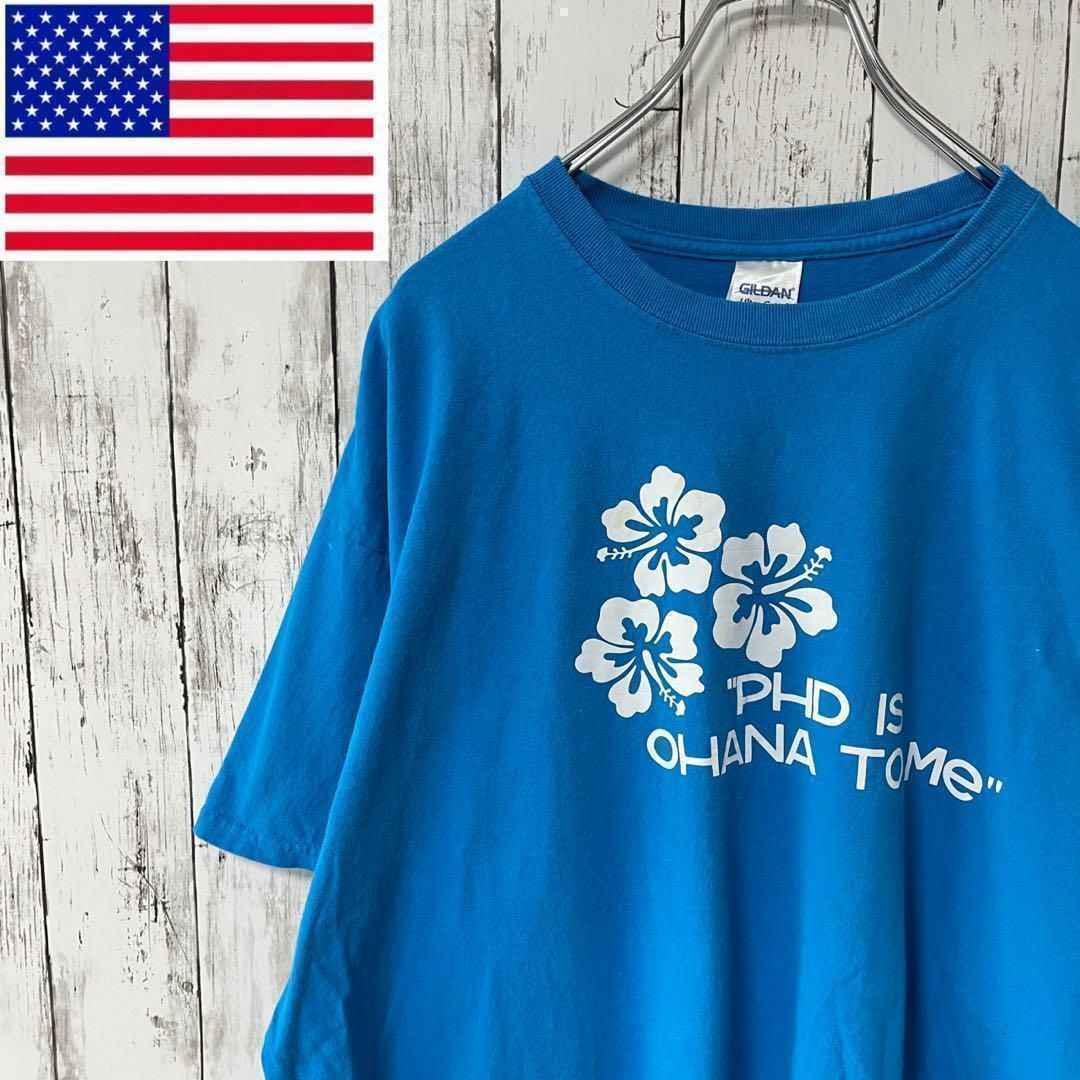 GILDAN アメリカ古着 ビッグプリントハイビスカスTシャツ ブルー メンズ メンズのトップス(Tシャツ/カットソー(半袖/袖なし))の商品写真