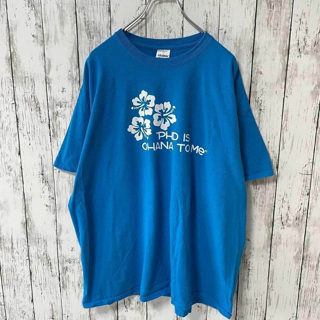 GILDAN アメリカ古着 ビッグプリントハイビスカスTシャツ ブルー メンズ メンズのトップス(Tシャツ/カットソー(半袖/袖なし))の商品写真