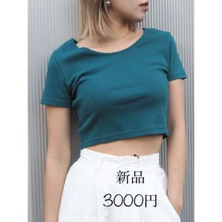 エヴリス(EVRIS)の値下げ不可　BASICシンプルショートTシャツ(カットソー(半袖/袖なし))