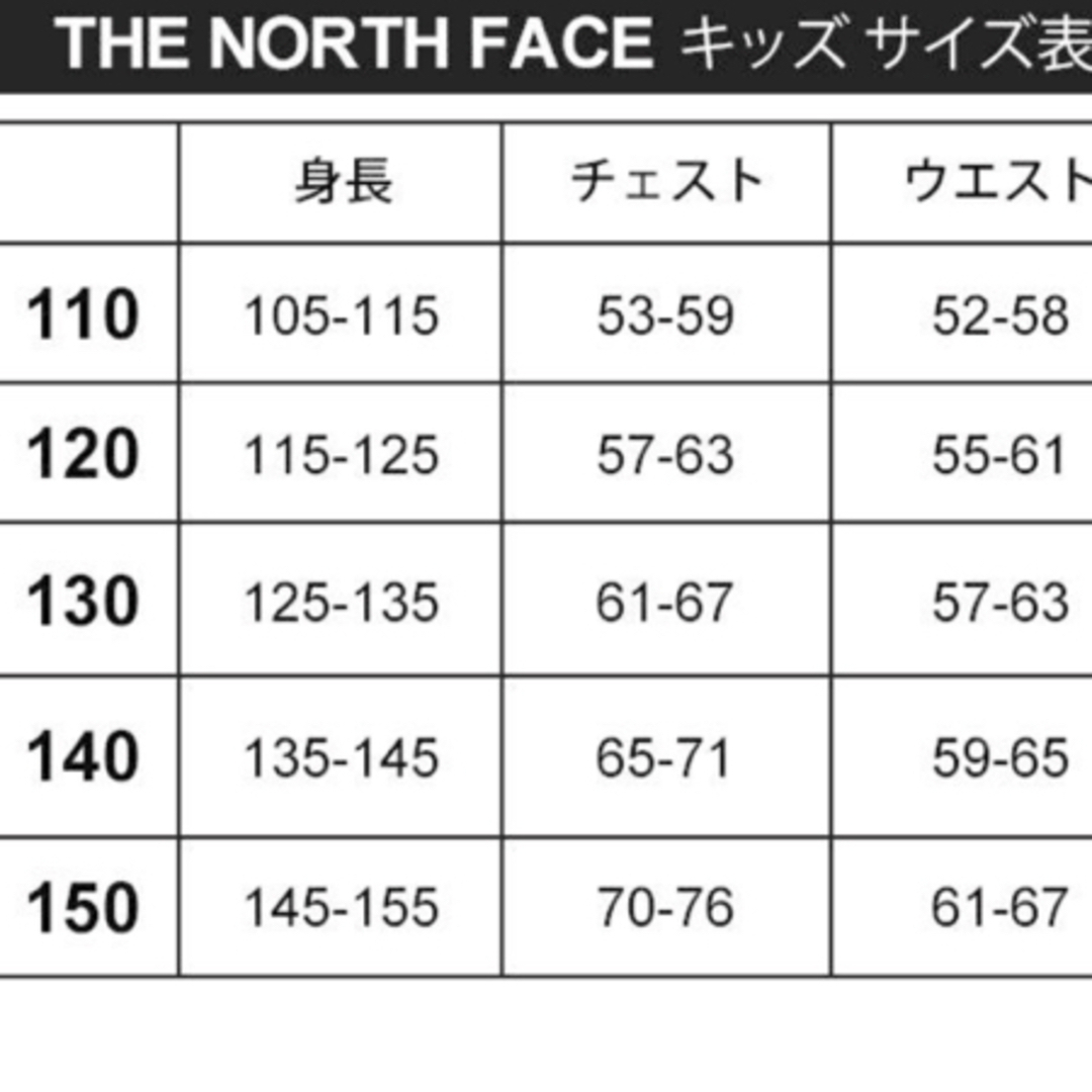 THE NORTH FACE(ザノースフェイス)の【THE NORTH FACE】キッズ Tシャツ　ケルプタン　110サイズ キッズ/ベビー/マタニティのキッズ服男の子用(90cm~)(Tシャツ/カットソー)の商品写真