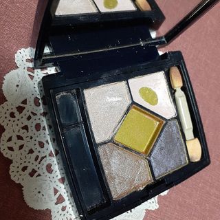 クリスチャンディオール(Christian Dior)のディオール　サンク クルール イリディセント アイシャドウ 809(アイシャドウ)