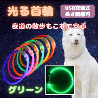 光る 首輪 グリーン LEDライト USB充電 犬 ドッグ おしゃれ 夜の散歩(犬)