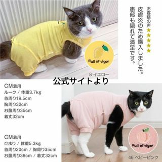 フルオブビガー　猫　C2L　ベビーピンク　エリザベスカラー　エリザベスウェア(猫)