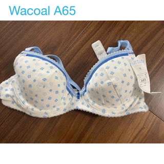 Wacoal - 新品　ワコール  キッズ　ブラジャー　下着　A65