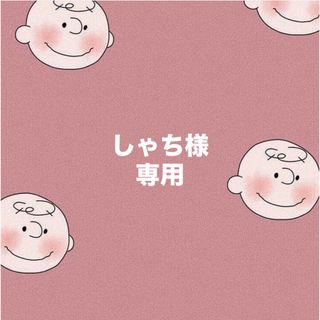 ★しゃち様専用★(その他)