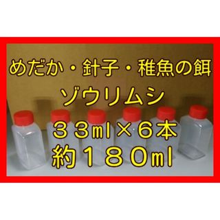 めだかの餌(ゾウリムシ)を　プラスチック容器(３３ml)　６本　#ゾウリムシ(アクアリウム)