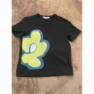 マルニ　キッズ　お花　プリント　Tシャツ　100〜110