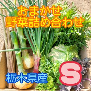 【数量・期間限定】おまかせ野菜詰め合わせBOX【S】